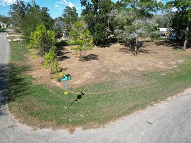 25088 Forest Cir, Hockley, TX 77447 - photo 5