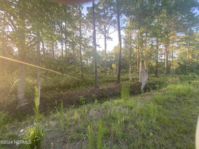 Lot 6