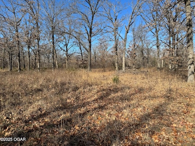 9479 S 670 Rd, Wyandotte, OK 74370 - photo 6