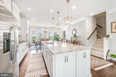 25043 Cambridge Hill Terrace, Chantilly, VA 20152 - photo 4