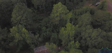 Aerial view of property's location featuring a forest