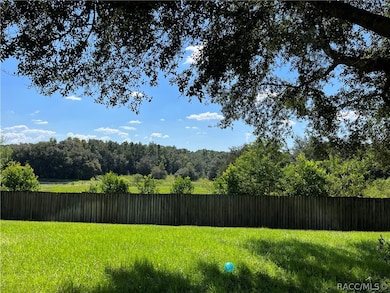 3320 N Burroughs Path, Beverly Hills, FL 34465 - photo 4