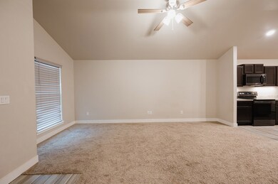 9213 Red Cliff Ave, Odessa, TX 79765 - photo 5