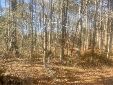 0 Kingsberry Dr, Iuka, MS 38852 - photo 3