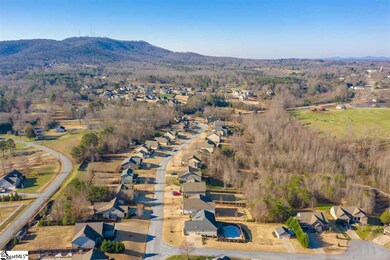 801 Mirandy Ct, Travelers Rest, SC 29690 - photo 3