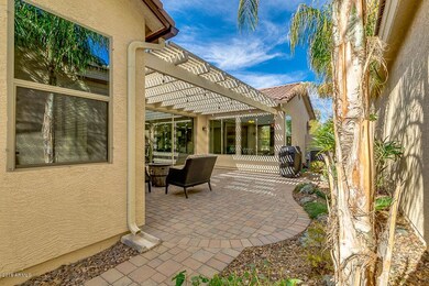 Rear Yard