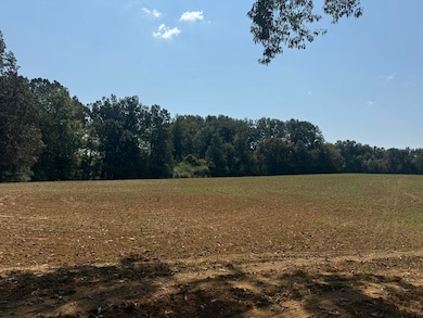 25 Bell Grove Rd, Oakland, TN 38028 - photo 2