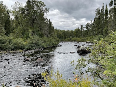 163 Pancore Lake Rd, Tofte, MN 55615 - photo 2