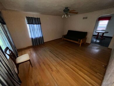 222 N 46th St, Belleville, IL 62226 - photo 5