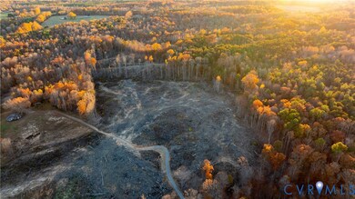 Aerial view of a forest