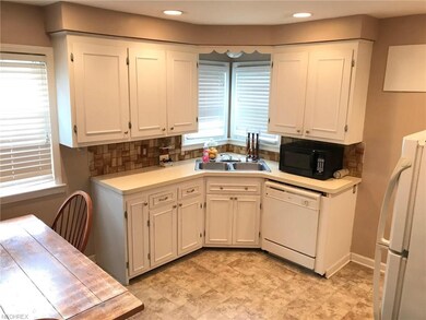 1552 Mapledale Rd, Wickliffe, OH 44092 - photo 4