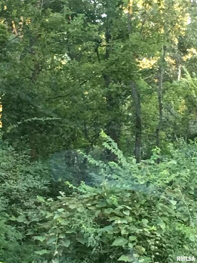 00 Lazy Acre Rd, Salem, IL 62881 - photo 2