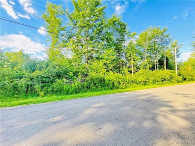 0 Sycamore Ave unit B1623308, Evans, NY 14006 - photo 4