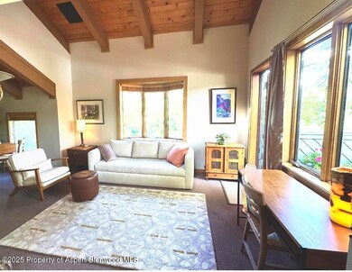 125 E Hyman Ave unit 1, Aspen, CO 81611 - photo 2