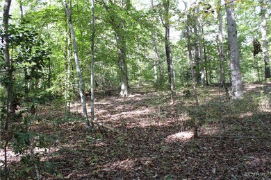 Interior Wooded Lota wooded view