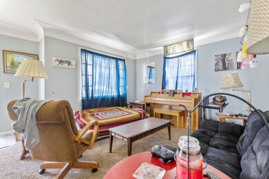 8-web-or-mls-1P6A4253