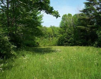 Yard/Garden. Backyard