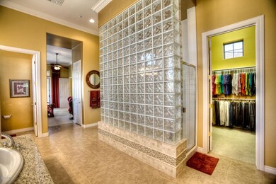 Glass Shower in Master Bathroom