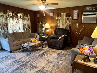 Carpeted living room featuring an AC wall unit, a 