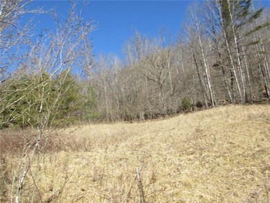 00 Willow Creek Rd, Burnsville, NC 28714 - photo 3