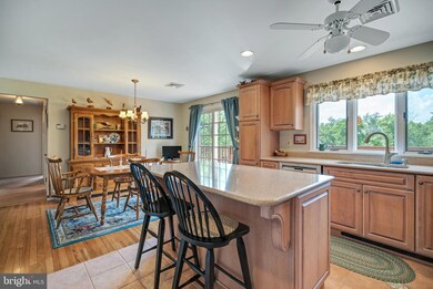 5297 Point Pleasant Pike, Doylestown, PA 18902 - photo 7