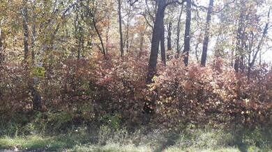 Lot 19 Block 13 285th Ave, Fawn Lake Township, MN 56438 - photo 5