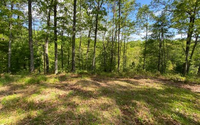 Additional View