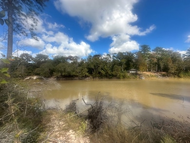 TBD Sam Rayburn Pkwy, Jasper, TX 75951 - photo 4