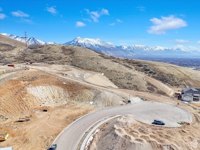 Bird's eye view of a mountain backdrop
