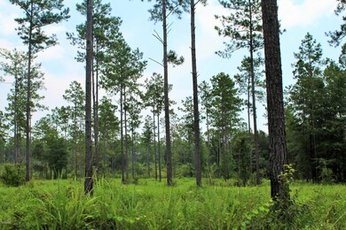 9ac Homestead, Lucedale, MS 39452 - photo 3