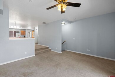 1140 Carbon Jct unit 10, Durango, CO 81301 - photo 7