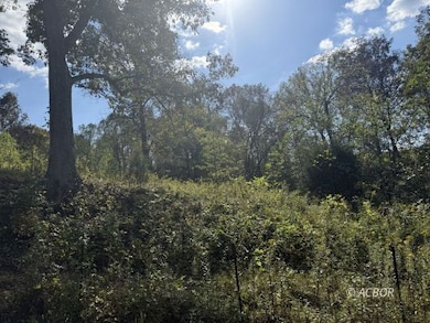 151 Shoestring Ridge Rd, Clay Township, OH 45631 - photo 2