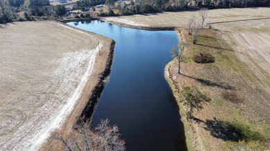 Tract 2 Beth Dr, Nichols, SC 29581 - photo 2