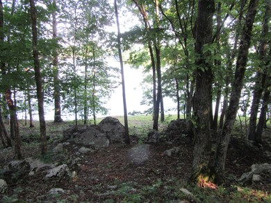 158 Dudala Way, Loudon, TN 37774 - photo 6