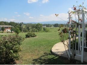 Front yard