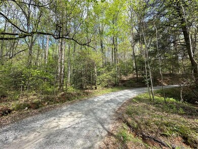LOT 20 Big Ben Rd, Ellijay, GA 30540 - photo 6