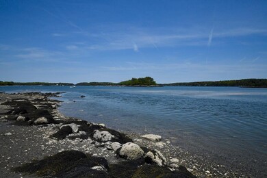 Ocean Low Tide