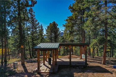 3447 Pathfinder Rd, Florissant, CO 80816 - photo 7