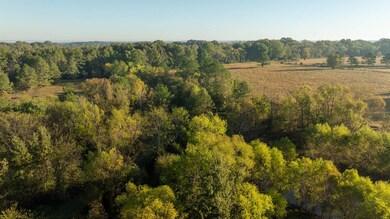 00 Vaughan Ln, Morton, MS 39117 - photo 4