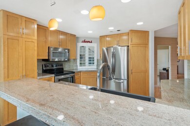 76694 Chyrsanthemum - Kitchen