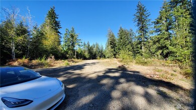 0 E Wild Grape Way unit 1665986, Grapeview, WA 98546 - photo 3