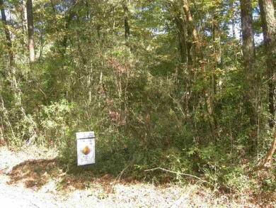 xx Neeley Rd unit x, Crawfordville, FL 32327 - photo 3