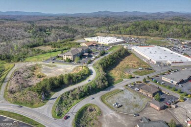 0 Blue Ridge Overlook, Blue Ridge, GA 30513 - photo 5