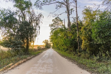 2351 NW 110th St, Chiefland, FL 32626 - photo 6