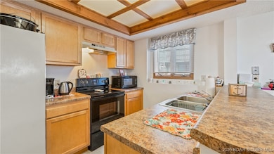 Kitchen - lower level