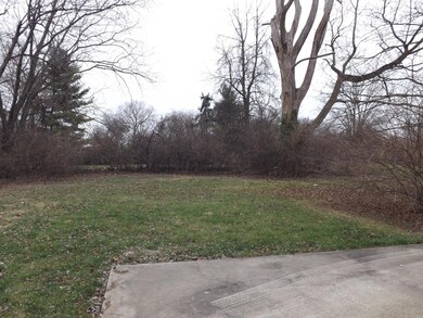 Back Yard Pic