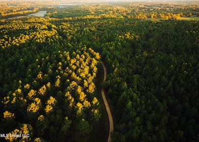 1884 Marshall Pics -2