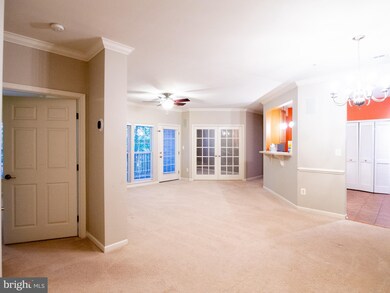 7250 Darby Downs unit G, Elkridge, MD 21075 - photo 4