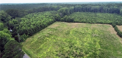 3066 Bethel Beach Rd, Onemo, VA 23130 - photo 6