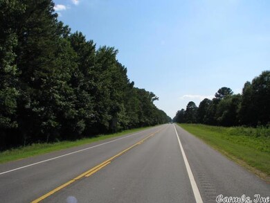 6137 Hwy 367 unit W. Dewitt Henry, Beebe, AR 72120 - photo 2